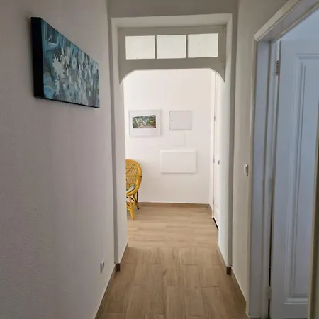 Renovado E Luminoso A Poucos Minutos Do Centro *